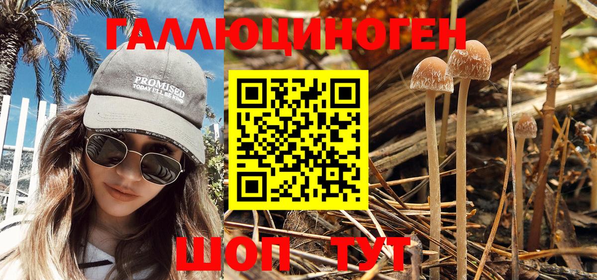 купить наркоту  Псилоцибиновые грибы MAGIC MUSHROOMS  Вход с VPN  Нягань 